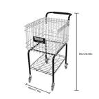 USAPA Pickleball Training Balls